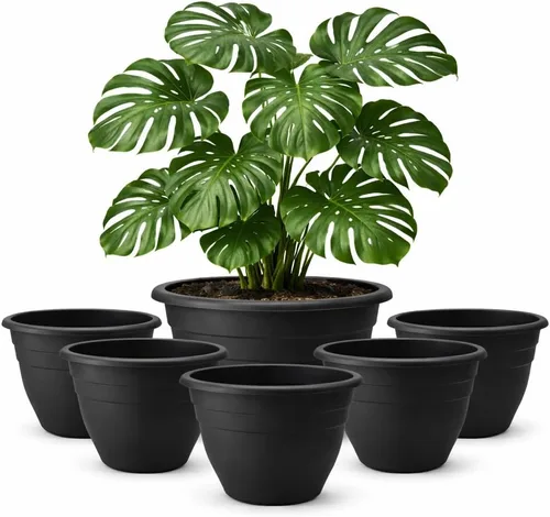 Miniatura 9 de RooTrimmer Juego de 10 macetas de 8 pulgadas con agujeros de drenaje y platillos, macetas para plantas de interior y exterior, macetas de orquídeas