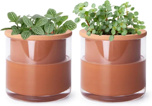 Miniatura 17 de Maceta auto-regante Phoenix Vine de 6 pulgadas, diseño en terracota blanca para plantas, maceta cilíndrica de terracota interior con jarrón de Blanco
