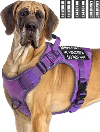 Miniatura 22 de Chaleco de perro de servicio para perros medianos, arnés de perro de servicio en entrenamiento con parches, chaleco ajustable para perros