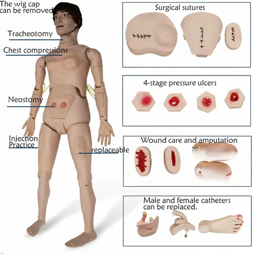 Miniatura 3 de Maniquí de enfermería de trauma, Maniquí médico para el cuidado del paciente para entrenamiento: RCP de 5.74 pies de cuerpo completo con más de 30