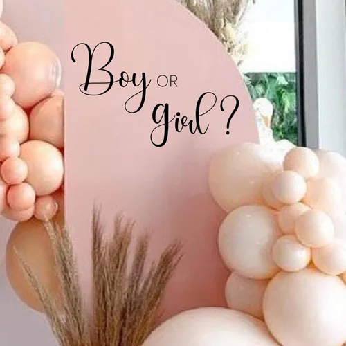 Miniatura 4 de Calcomanía de Niño o Niña - Baby Shower, Suministros de Decoración para Fiesta de Revelación de Género, Pegatinas de Pared, Letrero de Arco