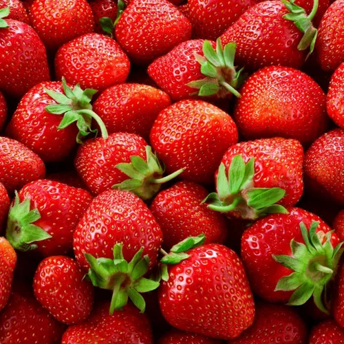 Miniatura 3 de Albion Everbearing - Fruta muy firme, dulce y de alto rendimiento (5 plantas) no se puede enviar a California