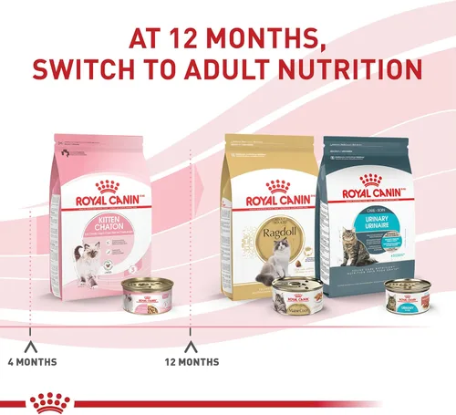 Miniatura 5 de Comida enlatada para gatos, de Royal Canin, salud felina, nutrición instintiva de adultos, rebanadas delgadas en salsa, Paquete de 6