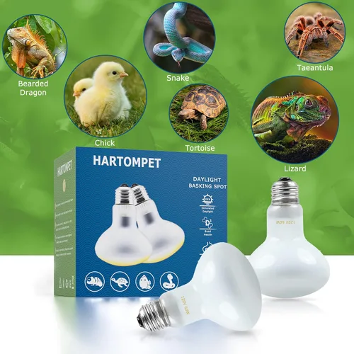 Miniatura 7 de Bombillas de calor para reptiles E26 de 60 W, luz UVA para dragón barbudo, lagarto, tortuga, pollitos, otros reptiles y anfibios, lámparas de calor