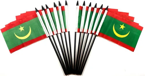 Miniatura 135 de World Flags Direct Banderas en miniatura de poliéster de Afganistán, paquete de 12, decoración de mesa de fiesta, desfiles, 4 x 6 pulgadas, verde