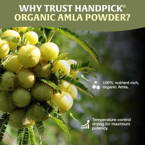 Miniatura 8 de HANDPICK - Polvo orgánico de amla (14 onzas) amalaki, certificado por el USDA, sin organismos modificados genéticamente 100 % crudo y natural