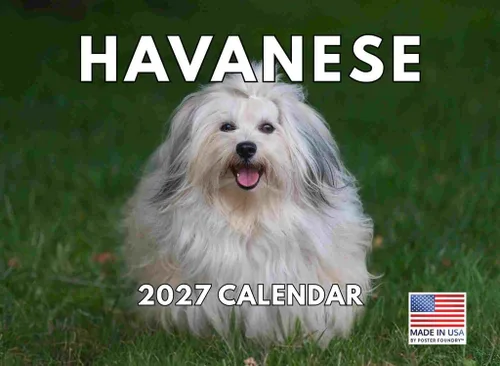 Miniatura 123 de Calendario de pared mensual 2025 Great Dane de 12 meses, fabricado en Estados Unidos