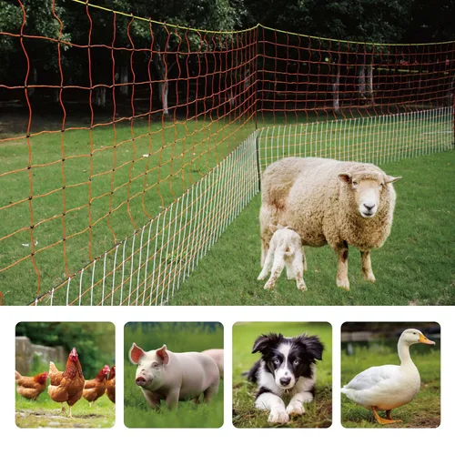 Miniatura 5 de Valla eléctrica de alta calidad para aves de corral, 59 pulgadas de alto x 98.5 pies de largo, versátil valla eléctrica portátil para pollos