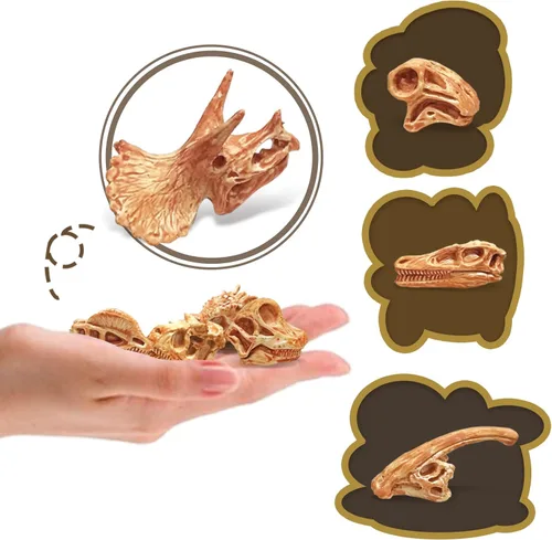 Miniatura 7 de LC JoyCre Mini huesos de dinosaurio para niños, juguetes de caja de arena, huesos de dinosaurio falsos realistas para que los niños desenterren