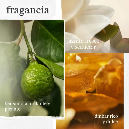 Miniatura 6 de Pureology Strength Cure Dream Healer - Suero para el cabello, tratamiento ligero sin enjuague, reparación del cabello de puntas abiertas, suaviza
