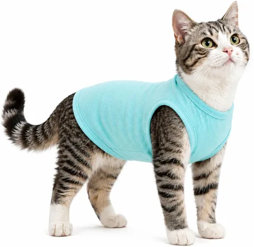 Miniatura 56 de Lovelonglong Ropa para mascotas de verano 2019, ropa para perro, camisetas en blanco, camisetas acanaladas, chalecos de hilo superior para perros