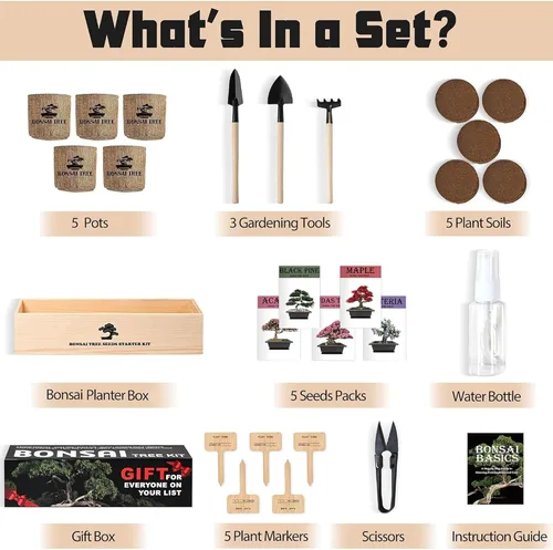 Miniatura 2 de Kit de inicio de jardín bonsái para interiores, 5 semillas que crecen en arce rojo, glicina, pino negro, árbol de judas, acacia, incluye macetas