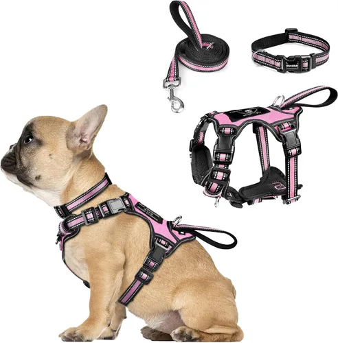 Miniatura 26 de WINSEE - Juego de arnés, collar y correa para mascotas, todo en uno, arnés reflectante para perros sin tirones con hebillas ajustables para Rojo
