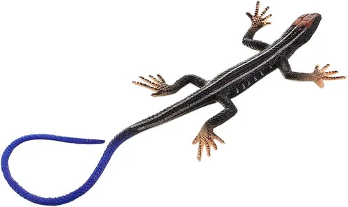 Toddmomy Lagartos de plástico realista juguete de lagarto modelo artificial reptil lagarto figuras animales juguetes trucos broma para niños
