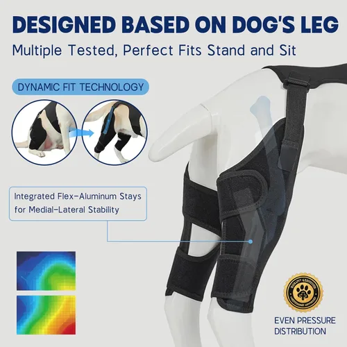 Miniatura 5 de Rodillera para perro para pierna trasera desgarrada del ligamento cruzado anterior, soporte ajustable para piernas de perro con estabilizadores