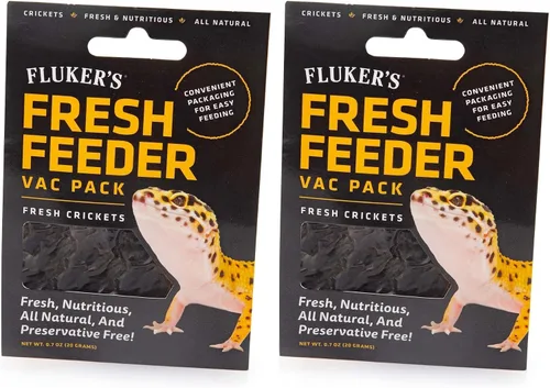 Miniatura 7 de Fluker's Fresh Feeder Vac Pack Cucarachas Dubia, Totalmente Naturales y Libres de Conservantes, Excelentes para Reptiles, Aves o Animales Pequeños