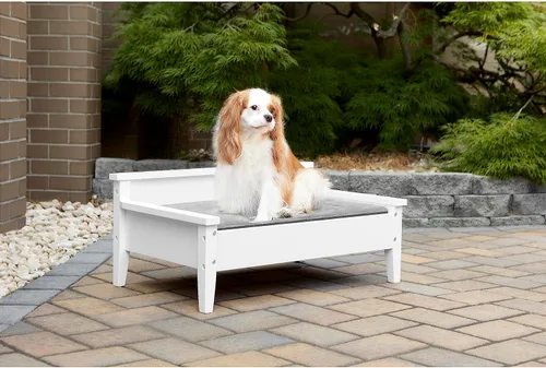 Miniatura 5 de Cama de madera para perro con colchón resistente al agua, cama elevada para mascotas pequeña a mediana con colchón calmante para mascotas