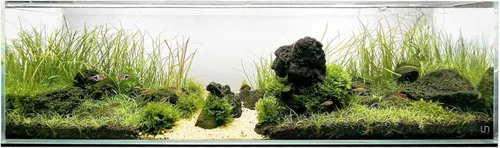 Miniatura 26 de UNS Acuario Ultra Claro Sin Borde - 25.6GAL 97.2L - 23.62x14.17x17.71 60x36x45 CM, Grosor de Vidrio de 6mm, Incluye Alfombrilla Nivelante
