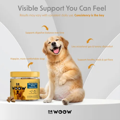 Miniatura 3 de Suplementos probióticos para perros masticables suaves (90 unidades) – Apoyo digestivo + equilibrio intestinal y apoyo de heces saludables