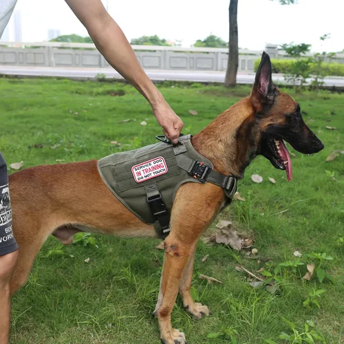 Miniatura 3 de ICEFANG - Arnés táctico para perro, talla L, 2 hebillas de metal, chaleco para transportar carga, ligero y modular (MOLLE) con mango, clip de correa