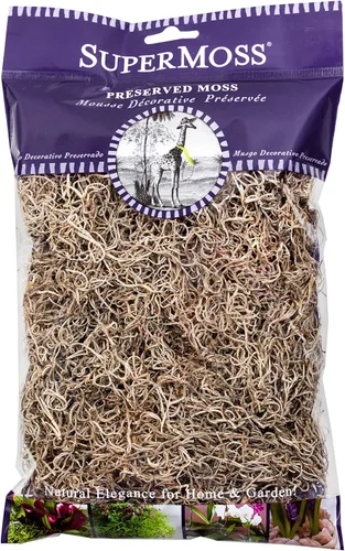 SuperMoss (26901) Musgo seco español – Musgo decorativo para manualidades, plantas en maceta, jardines de hadas, relleno de jarrones, arreglos