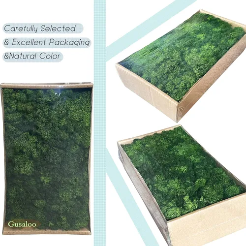 Miniatura 2 de Musgo artificial preservado de 1.1 libras para plantas en maceta, musgo verde fresco natural para manualidades, musgo artificial, orquídea floral