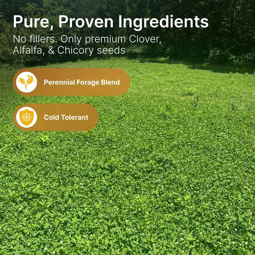 Miniatura 2 de Semillas de parcela de alimentos de alfalfa + trébol para ciervos [perennes] – Semillas de parcela de alimentos perennes – Mezcla de semillas