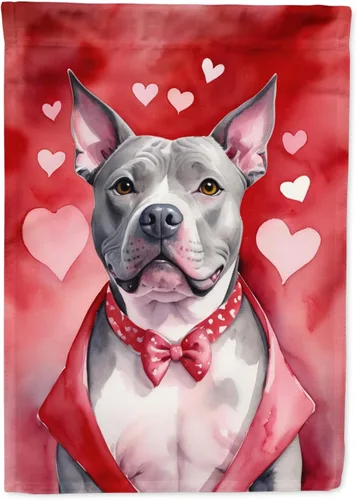 Miniatura 110 de Caroline's Treasures DAC5292CHF - Bandera de Border Collie My Valentine House para porche, grande, con manga para porche, para colgar en la pared