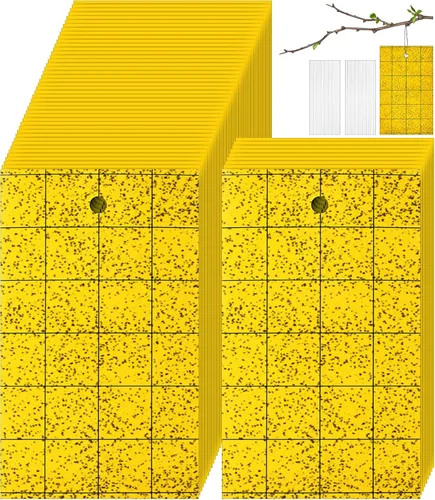 Qualirey 300 Trampa Adhesiva para Mosquitos 3 x 5'' Trampa Adhesiva de Doble Cara para Moscas de la Fruta con Atadura para Planta para Insectos