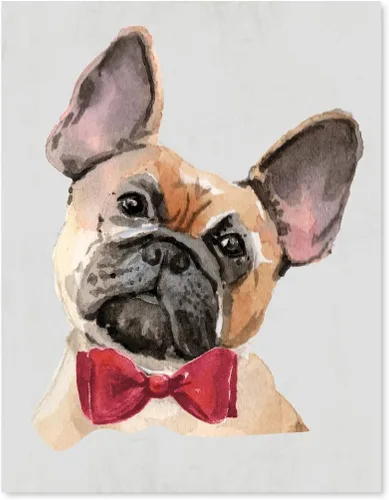 Miniatura 9 de Andaz Press Póster impreso para pared de perro, 8.5 x 11 pulgadas, Shih Tzu en lazo rosa, 1 paquete, regalo de cumpleaños de Navidad, sin marco