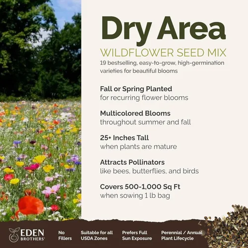 Miniatura 2 de Eden Brothers Semillas mixtas de flores silvestres de área seca para plantar, 1 libra, más de 480,000 semillas con cosmos, margarita africana, lino
