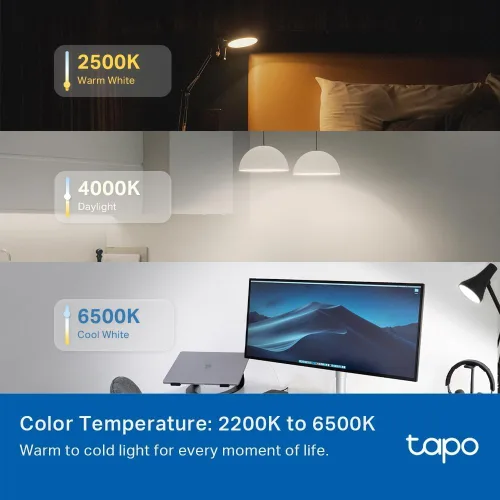 Miniatura 8 de TP-Link Tapo - Bombillas inteligentes, 1100 lúmenes de alta luminosidad (equivalente a 75 W), certificadas por Matter, bombilla LED RGBW de 16