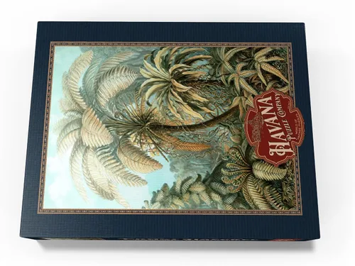 Miniatura 4 de MyPuzzle Fern (Filicinae) - Formas de arte en la naturaleza, póster de arte vintage, Ernst Haeckel - Rompecabezas prémium de 1000 piezas para adultos