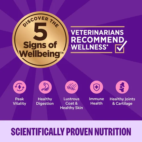 Miniatura 4 de Wellness Complete Health - Alimento húmedo en paté para gatos adultos, natural, rico en proteínas, sin granos, 12.5 onzas, paquete de 12 (pollo)