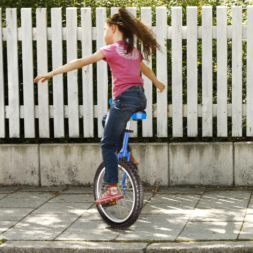 Miniatura 5 de AW Rueda de 16/18/20/24 pulgadas, asiento ajustable para exteriores, para adultos, niños, deportes al aire libre, ejercicio de fitness, para elegir