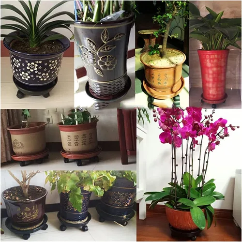 Miniatura 3 de Soporte para plantas, soporte resistente para plantas con ruedas, organizador redondo para plantas - Estante para macetas al aire libre en rodillos