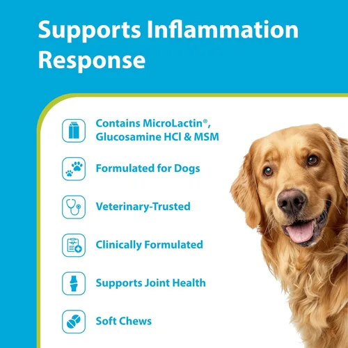 Miniatura 2 de PRN Pharmacal Duralactin Canine Joint Plus Soft Chews - Suplemento de salud articular para perros y cachorros - Apoyo para la movilidad de mascotas