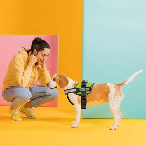 Miniatura 6 de Dogline Unimax - Arnés de chaleco multiusos Unimax para perros y 2 parches de soporte emocional extraíbles con respaldo de velcro
