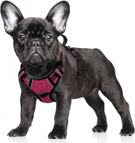 Miniatura 34 de BARKBAY Arnés para Perro Sin Tirones Talla Grande Arnés Reflectante para Perro con Clip Frontal y Asa de Control Fácil para Caminar Entrenar Correr