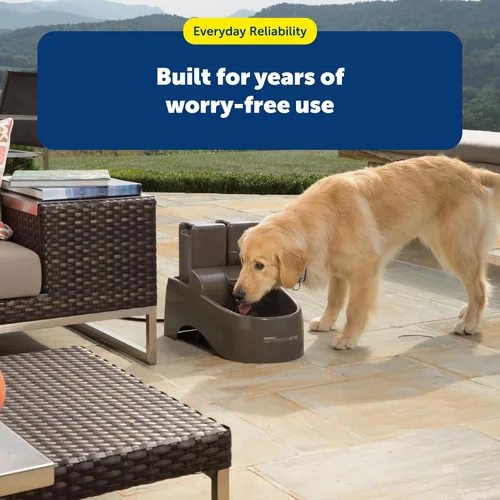 Miniatura 6 de PetSafe Drinkwell - Kit de filtro de repuesto para fuentes de agua Everflow y exteriores para perros y gatos, el kit contiene 3 filtros de carbono