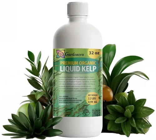 Miniatura 182 de 𝐁𝐄𝐒𝐓𝐒𝐄𝐋𝐋𝐄𝐑 Fertilizante Soluble en Agua 20-20-20 – Polvo para Alimento Líquido de Plantas para Plantas de Interior y Exterior, Orquídeas, Vegetales