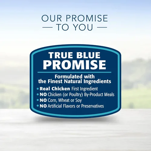 Miniatura 5 de Blue Buffalo Life Protection Formula - Kit de iniciación natural para cachorros, comida seca y húmeda para perros, y golosinas para cachorros Blue