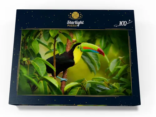 Miniatura 4 de MyPuzzle Costa Rica Wildlife - Tucán sentado en la rama en el bosque - Rompecabezas premium de 100 piezas para adultos
