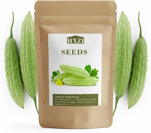 40 semillas de melón amargo para plantar: semillas de ampalaya y calabaza amarga, semillas de vegetales para jardín doméstico, contenedor o cultivo