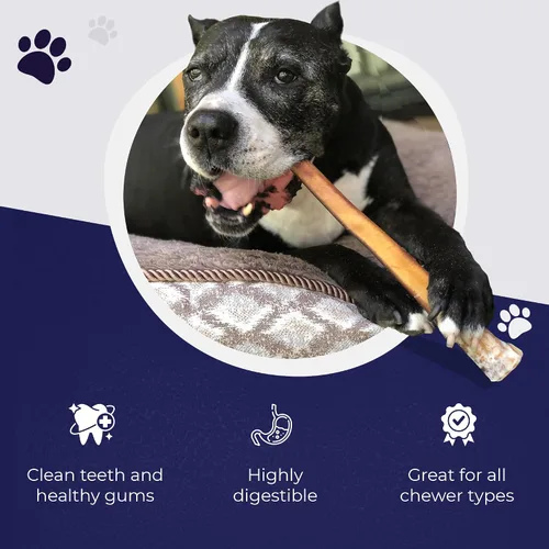 Miniatura 4 de Devil Dog Pet Co. Palitos Bully Trenzados para Perros – Paquete de 3 Golosinas Masticables de 6 Pulgadas, 100% Naturales, de un Solo Ingrediente