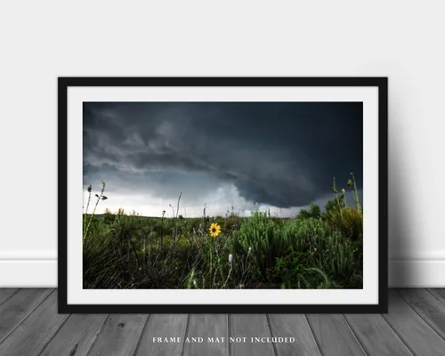 Miniatura 3 de Storm Photography Print (Not Framed) Picture of Thunderstorm Passing Behind Wild Sunflower on Spring Day in Texas Flower Wall Art Nature Decor