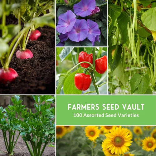 Miniatura 3 de Survival Farmer Seed Vault - Paquete de 100 semillas de verduras tradicionales para plantar, verduras, frutas y hierbas sin OMG, kit sellado