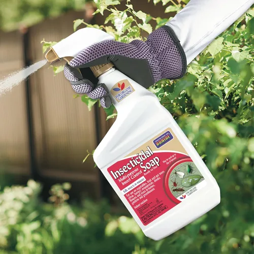 Miniatura 8 de Bonide Jabón insecticida, 32 onzas en aerosol listo para usar, control de insectos multiusos para jardinería orgánica en interiores y exteriores