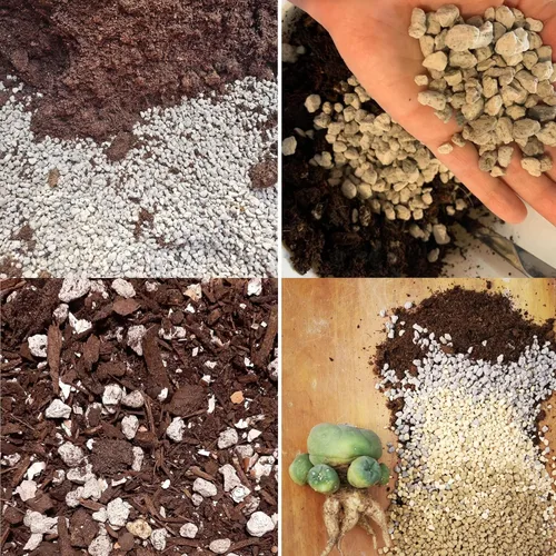 Miniatura 6 de Piedra pómez hortícola para plantas tamizada profesional (12 cuartos de galón, 1/2 pulgada)