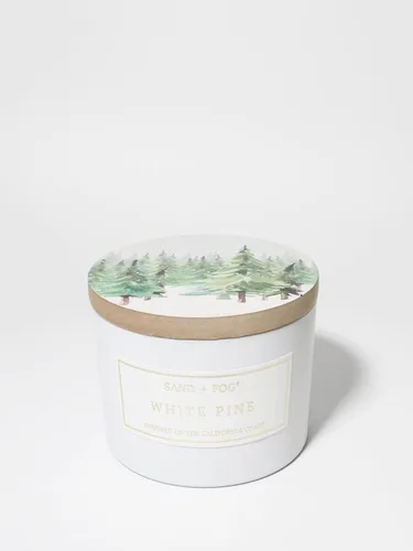Miniatura 39 de Sand + Fog Vela aromática - Calabaza y Clavo – Fragancias y tamaños adicionales – Mecha 100% de algodón sin plomo - Velas de lujo en tarro